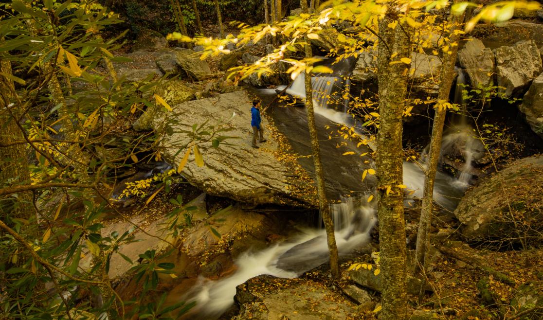 Best Hiking Trails Near Boone, NC | Outdoorish