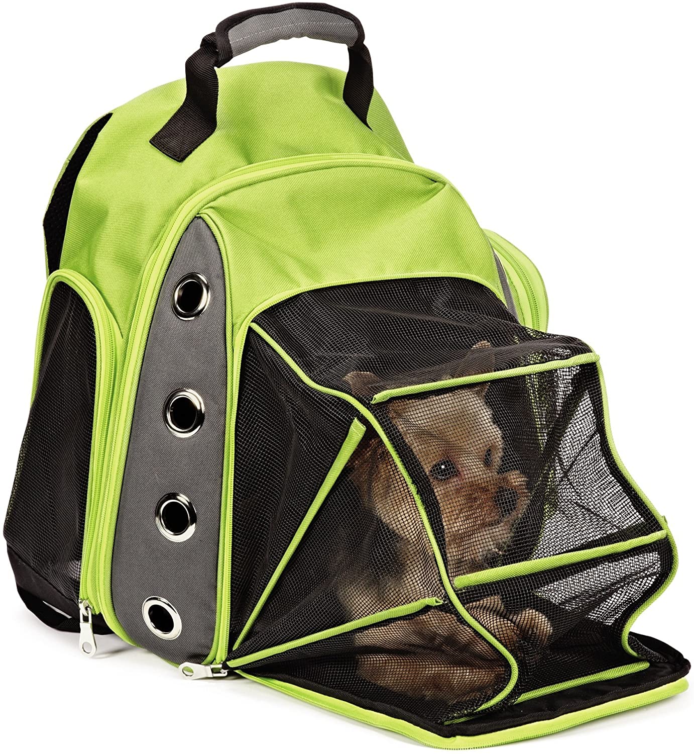 Canine equipment backpack best sale